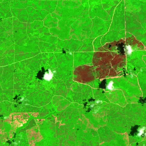 South Canal- Lafayette (34) Fire (FL) — Sentinel-2 SWIR (fuego)