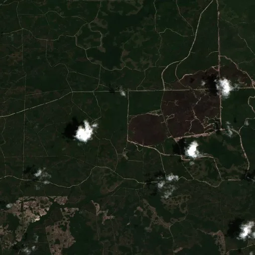 South Canal- Lafayette (34) Fire (FL) — Sentinel-2 true color