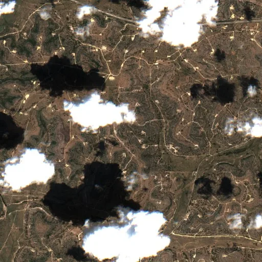 South Day Fire (Texas) — Sentinel-2 true color