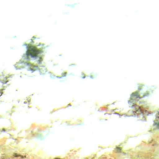 Sr - Buffalo Fire (Wyoming) — Sentinel-2 SWIR (fuego)