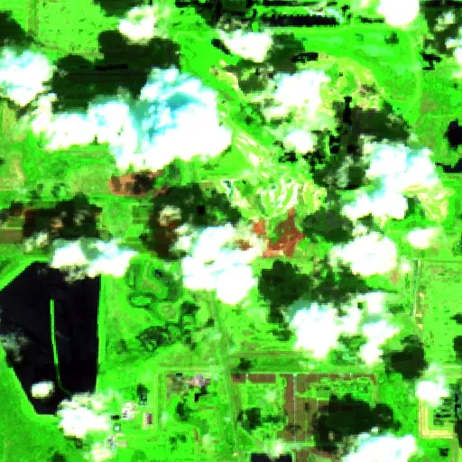 Streamsong Fire, Fort Green, Florida — Sentinel-2 SWIR (fuego)