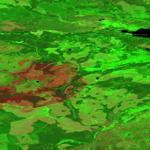 Swede Creek Fire — Sentinel-2 SWIR