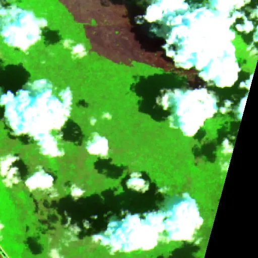 The H1 Fire (FL) — Sentinel-2 SWIR (fuego)