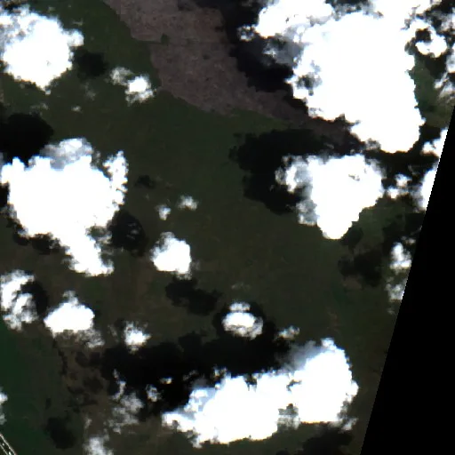 The H1 Fire (FL) — Sentinel-2 true color
