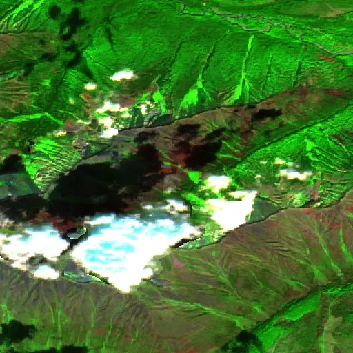 Tower Creek Fire — Sentinel-2 SWIR (fuego)