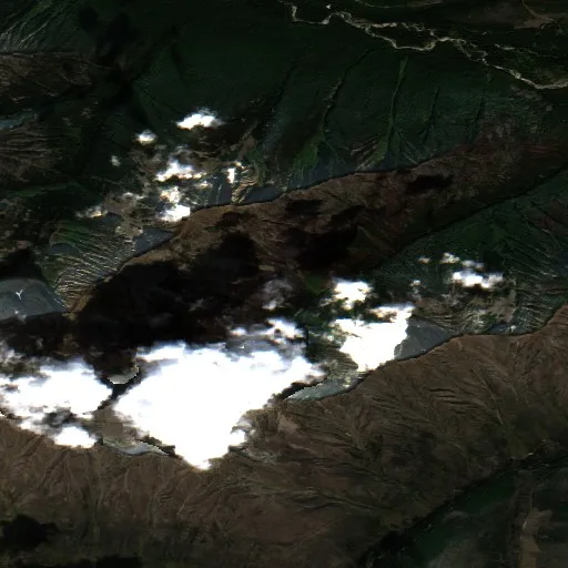Tower Creek Fire — Sentinel-2 true color
