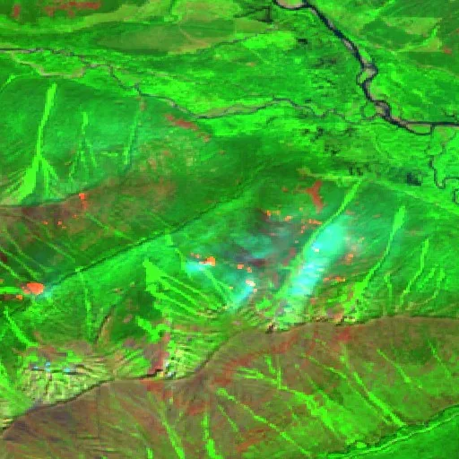 Tower Creek Fire — Sentinel-2 SWIR (fuego)