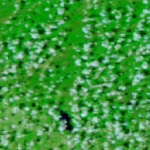 Incendio Tram Trail (Oklahoma) — NASA satellite