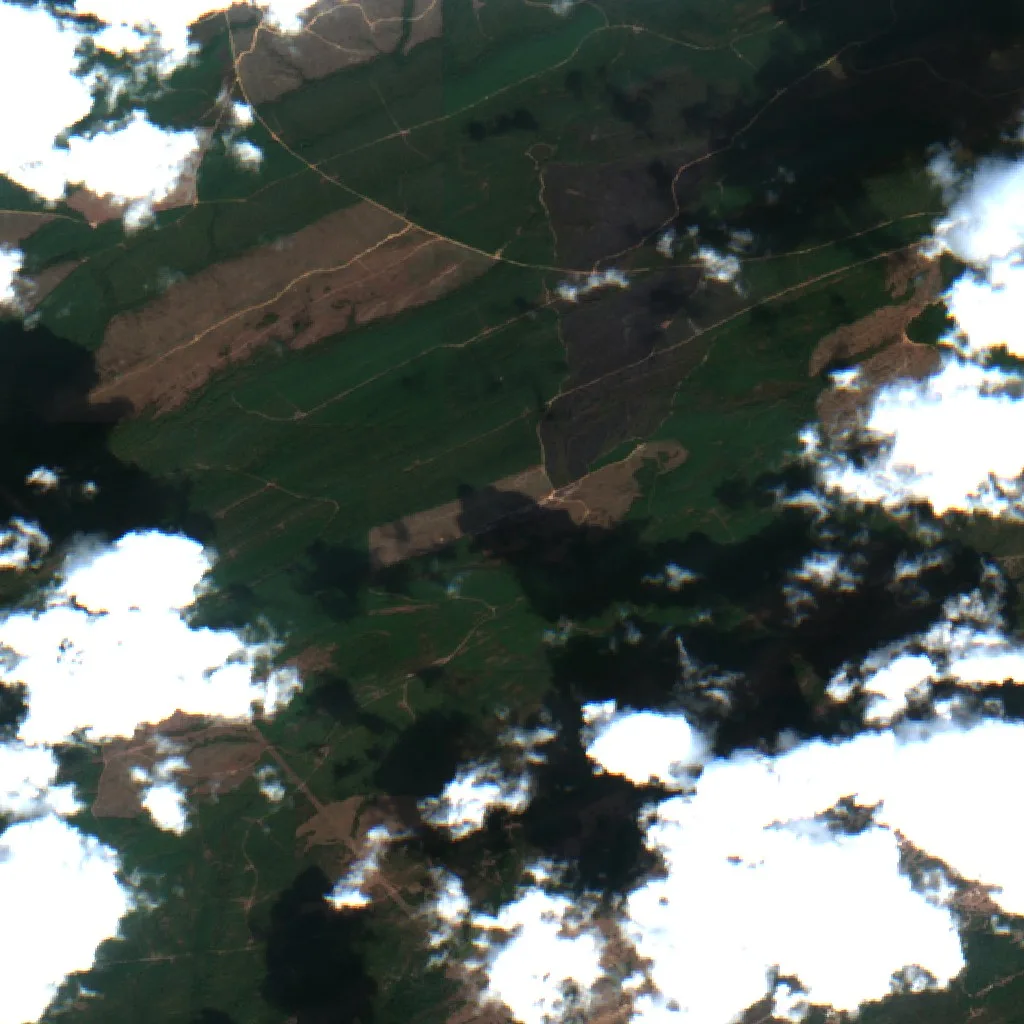 Tram Trail Fire (Oklahoma) — Sentinel-2 true color