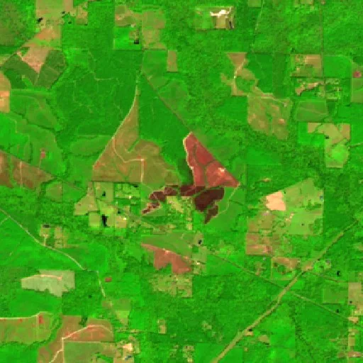 Turkey Creek Fire (Louisiana) — Sentinel-2 SWIR (fuego)