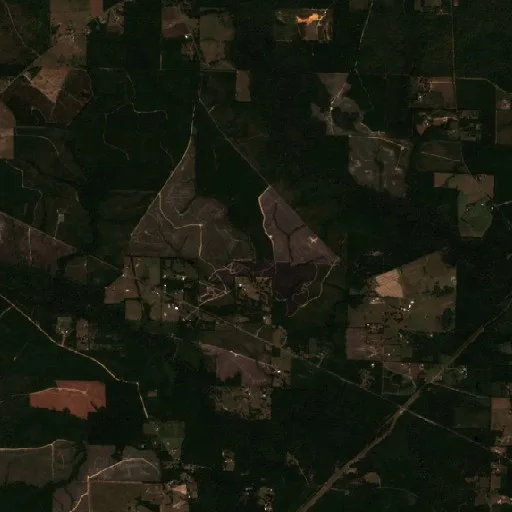 Turkey Creek Fire (Louisiana) — Sentinel-2 true color