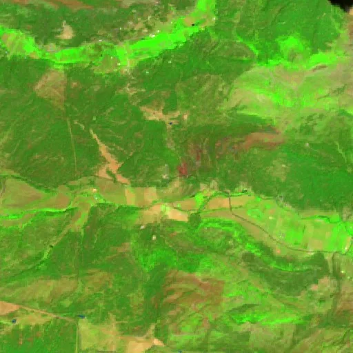 Tusas Fire (New Mexico) — Sentinel-2 SWIR (fuego)