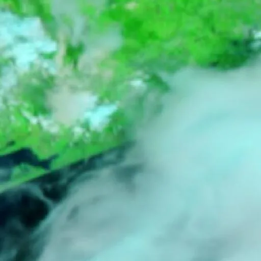 Unit 12 Middle Fire (Texas) — NASA satellite