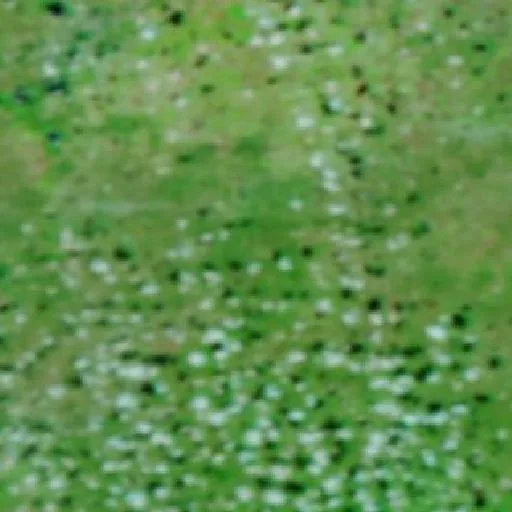 Upton 3 Fire (Texas) — NASA satellite