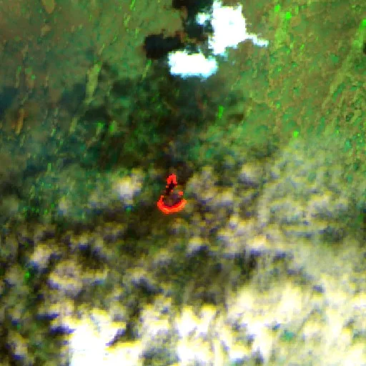 Vulture Fire (FL) — Sentinel-2 SWIR (fuego)