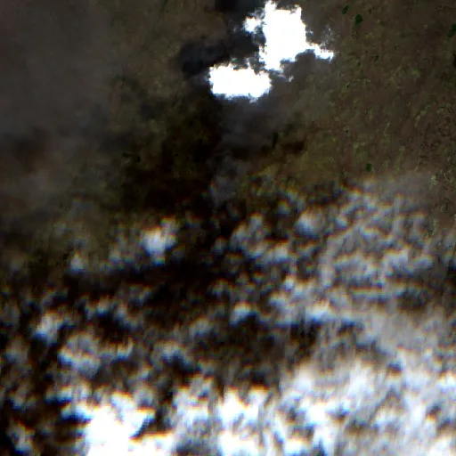 Vulture Fire (FL) — Sentinel-2 true color