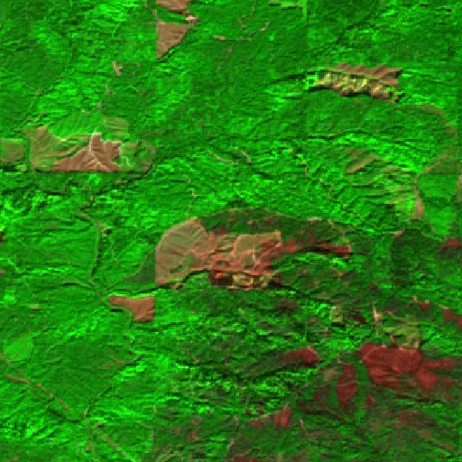 Incendio W Fork Evans Creek (Oregon) — Sentinel-2 SWIR