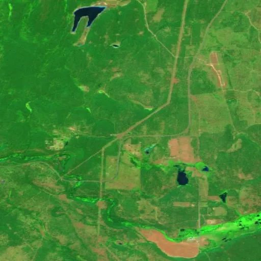 Wait Creek Fire — Sentinel-2 SWIR