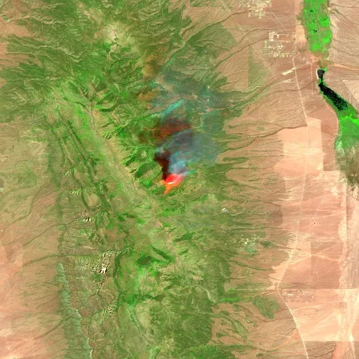 Ward Fire (NV) — Sentinel-2 SWIR (fuego)