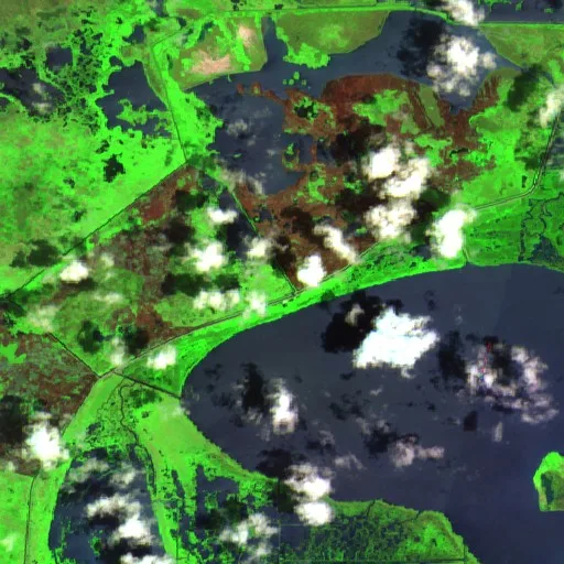 West Blue Crab Fire (Louisiana) — Sentinel-2 SWIR (fuego)