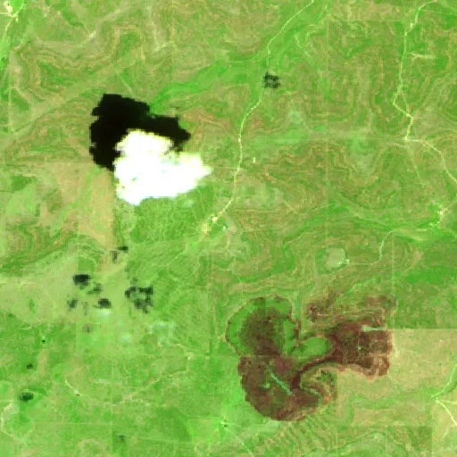 West Fork Fire (Texas) — Sentinel-2 SWIR (fuego)