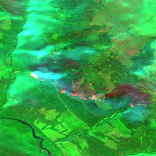 Wildfire — Sentinel-2 SWIR (fuego)