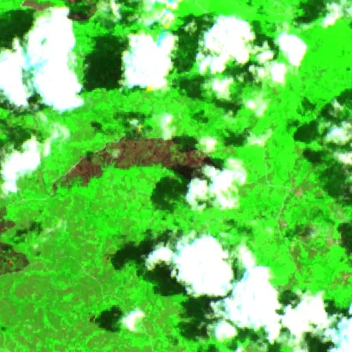Wildfire — Sentinel-2 SWIR (fuego)