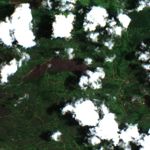 Wildfire — Sentinel-2 true color