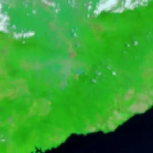 Wildfire — NASA satellite