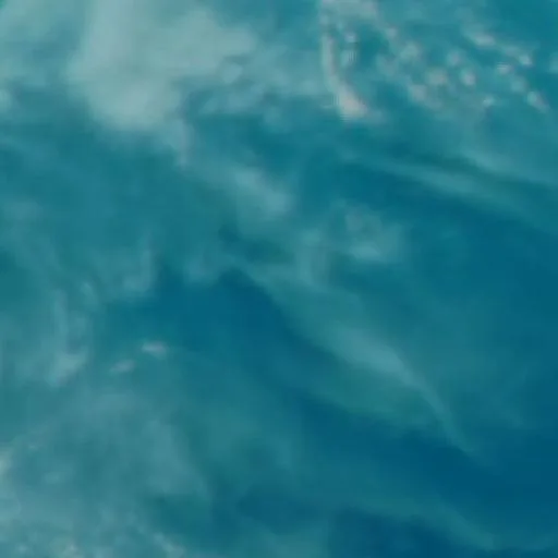 Wildfire — NASA satellite