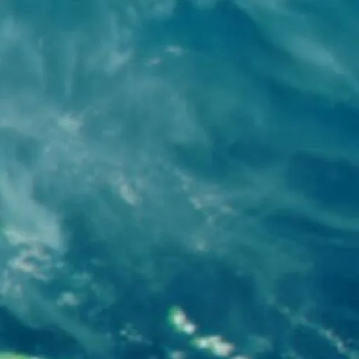 Incendio — NASA satellite