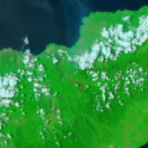 Incendio — NASA satellite