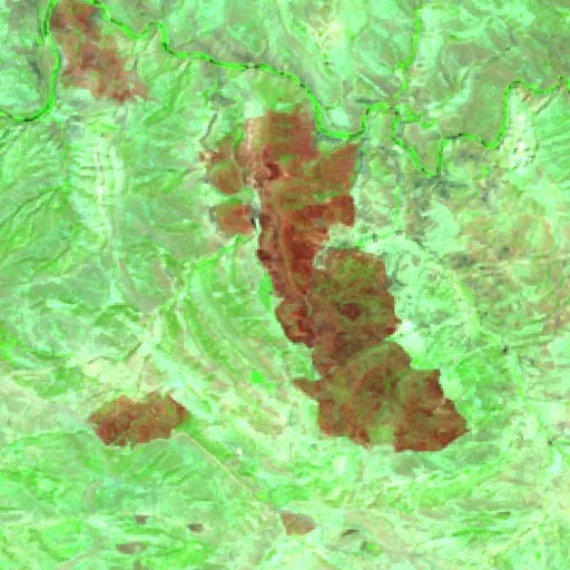 Wildfire — Sentinel-2 SWIR (fuego)
