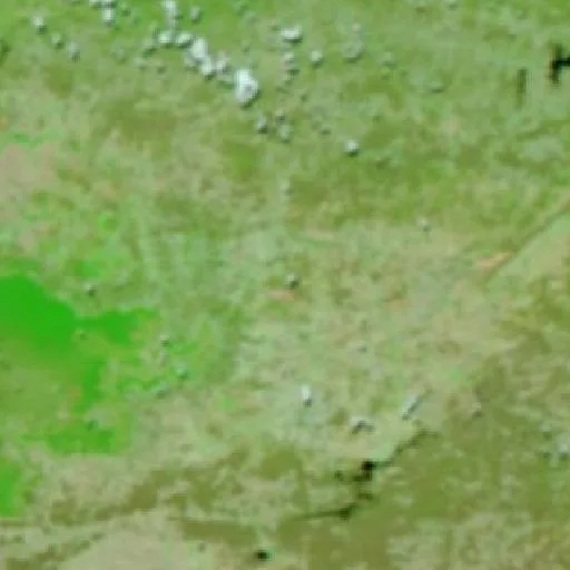 Wildfire near Abaiara — NASA satellite