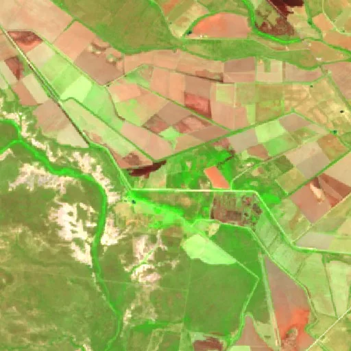 Wildfire near Abasolo — Sentinel-2 SWIR (fuego)