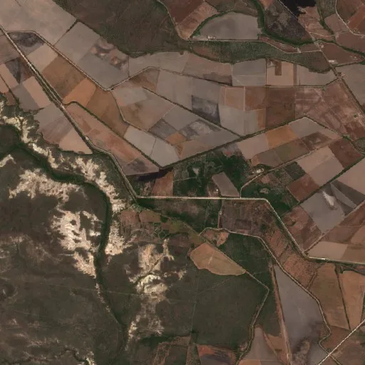 Wildfire near Abasolo — Sentinel-2 true color