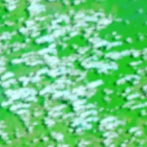 Wildfire near Acrelândia — NASA satellite