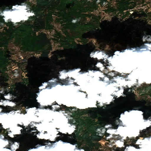 Incendio cerca de Acri (30 ago) — Sentinel-2 true color