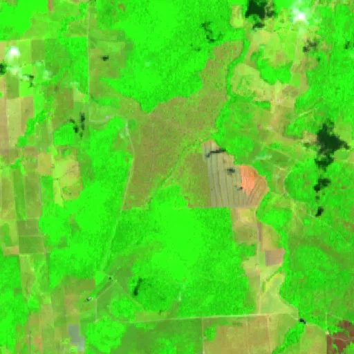 Wildfire near Agrovila do Projeto de Assentamento União do Norte (Oct 17) — Sentinel-2 SWIR (fuego)