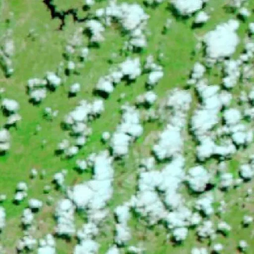 Incendio cerca de Água Fria de Goiás — NASA satellite