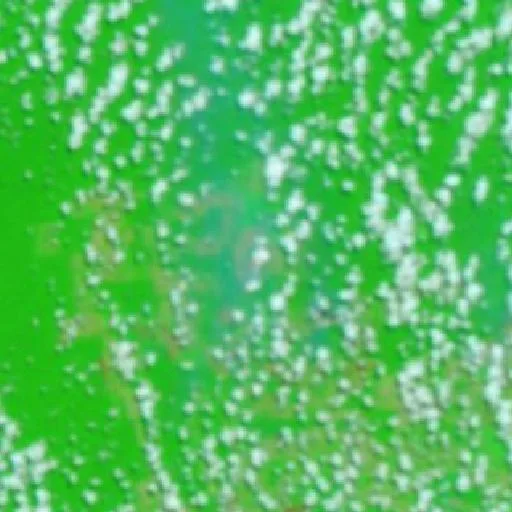 Wildfire near Água Preta (Sep 15) — NASA satellite