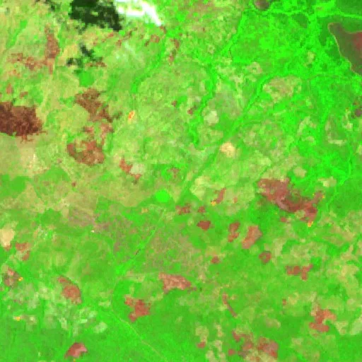 Wildfire near aguas negras — Sentinel-2 SWIR (fuego)