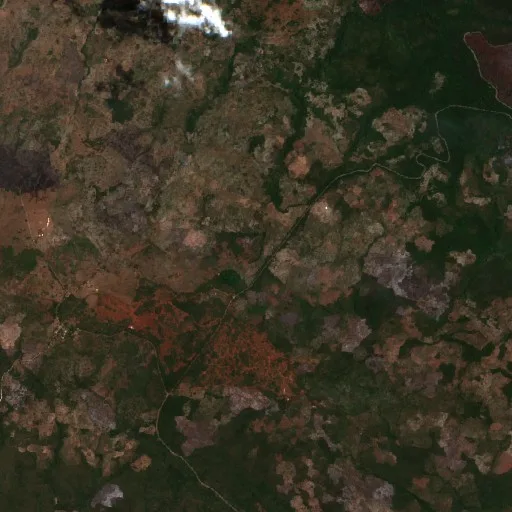 Wildfire near aguas negras — Sentinel-2 true color