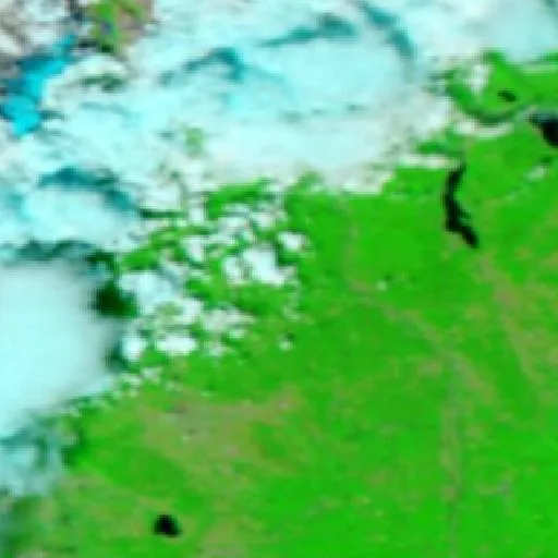 Wildfire near Ailoche — NASA satellite