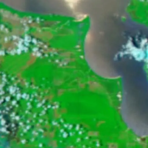 Wildfire near Air Sugihan — NASA satellite