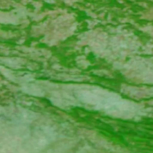Wildfire near Alamillo — NASA satellite