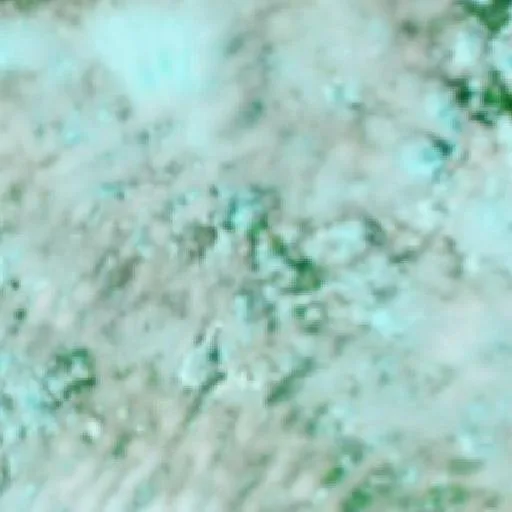 Wildfire near Alazão — NASA satellite