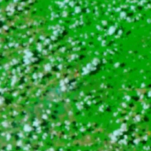 Wildfire near Aldeia Indígena Nassepotiti (Sep 20) — NASA satellite