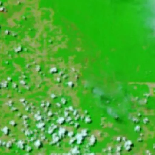 Wildfire near Aldeia Indígena Nassepotiti (Sep 13) — NASA satellite