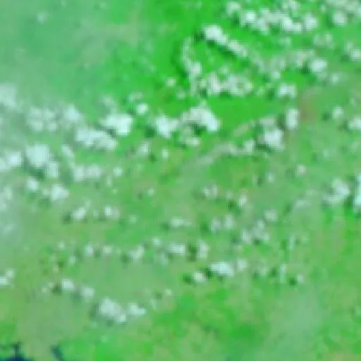 Wildfire near Alenquer — NASA satellite